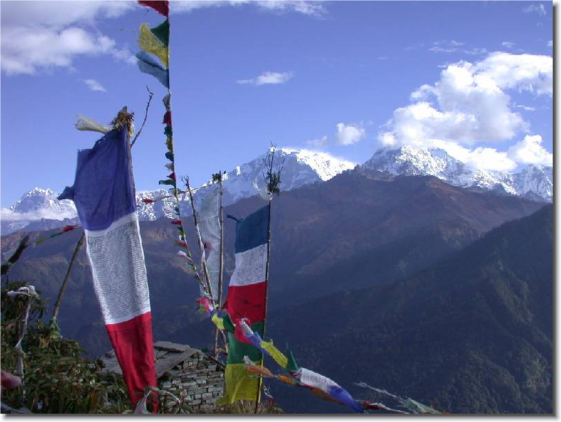 Click for the original image